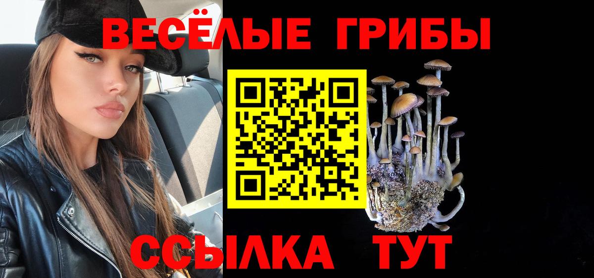 Псилоцибиновые грибы MAGIC MUSHROOMS  Псилоцибиновые грибы Magic Shrooms  что такое наркотик  Вход с VPN  Отрадное 
